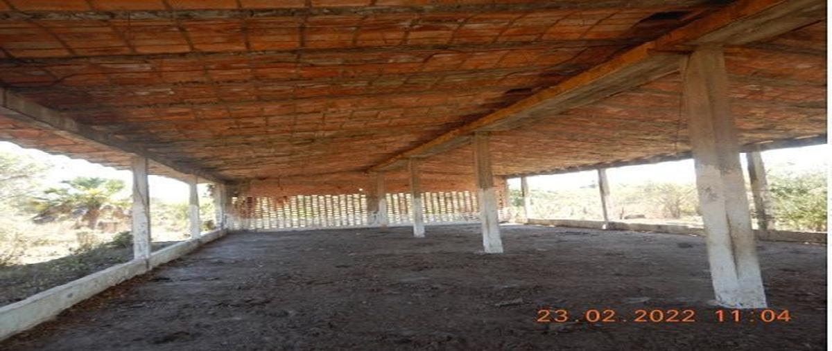 Foto de terreno comercial en venta en carretera internacional kilometro 62+800 , tijuanita, ruíz, nayarit, 26817251 No. 04