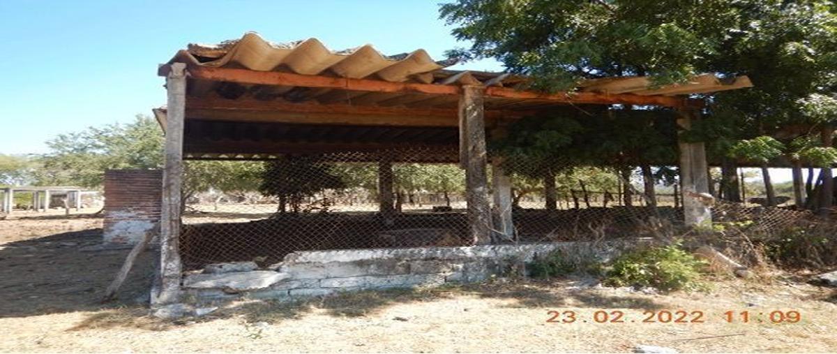 Foto de terreno comercial en venta en carretera internacional kilometro 62+800 , tijuanita, ruíz, nayarit, 26817251 No. 05
