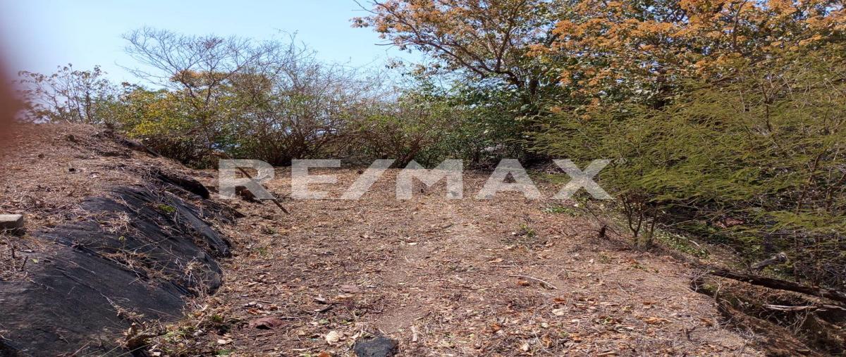 Foto de terreno comercial en venta en carretera internacional , mazunte, santa maría tonameca, oaxaca, 17541394 No. 04