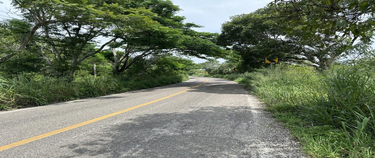 Foto de terreno habitacional en venta en carretera internacional , san antonio bombano, berriozábal, chiapas, 28952217 No. 04