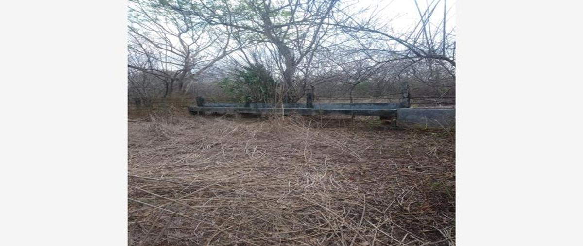 Foto de terreno comercial en venta en carretera internacional , santiago niltepec, santiago niltepec, oaxaca, 25767361 No. 01