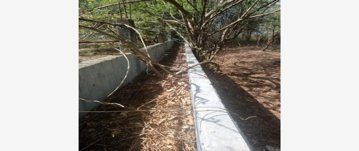 Foto de terreno comercial en venta en carretera internacional , santiago niltepec, santiago niltepec, oaxaca, 25767361 No. 02