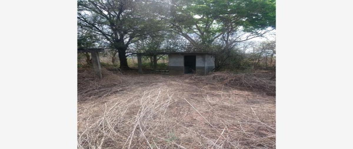 Foto de terreno comercial en venta en carretera internacional , santiago niltepec, santiago niltepec, oaxaca, 25767361 No. 03