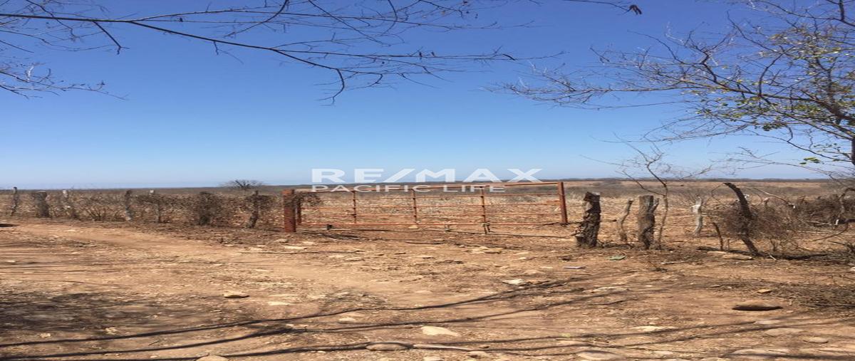 Foto de terreno comercial en venta en carretera internacional tepic-mazatlán 15 , agua caliente de gárate (agua caliente), concordia, sinaloa, 0 No. 03