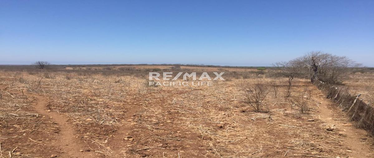 Foto de terreno comercial en venta en carretera internacional tepic-mazatlán 15 , agua caliente de gárate (agua caliente), concordia, sinaloa, 0 No. 05