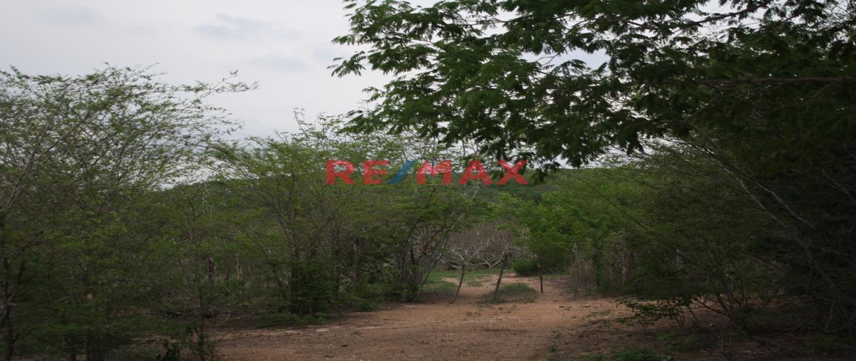 Foto de terreno comercial en carretera internacional tepic-mazatlán 15 , agua caliente de gárate (agua caliente), concordia, sinaloa, 30525743 foto 04 Foto de terreno comercial en venta en carretera internacional tepic-mazatlán 15 , agua caliente de gárate (agua caliente), concordia, sinaloa, 30525743 No. 04