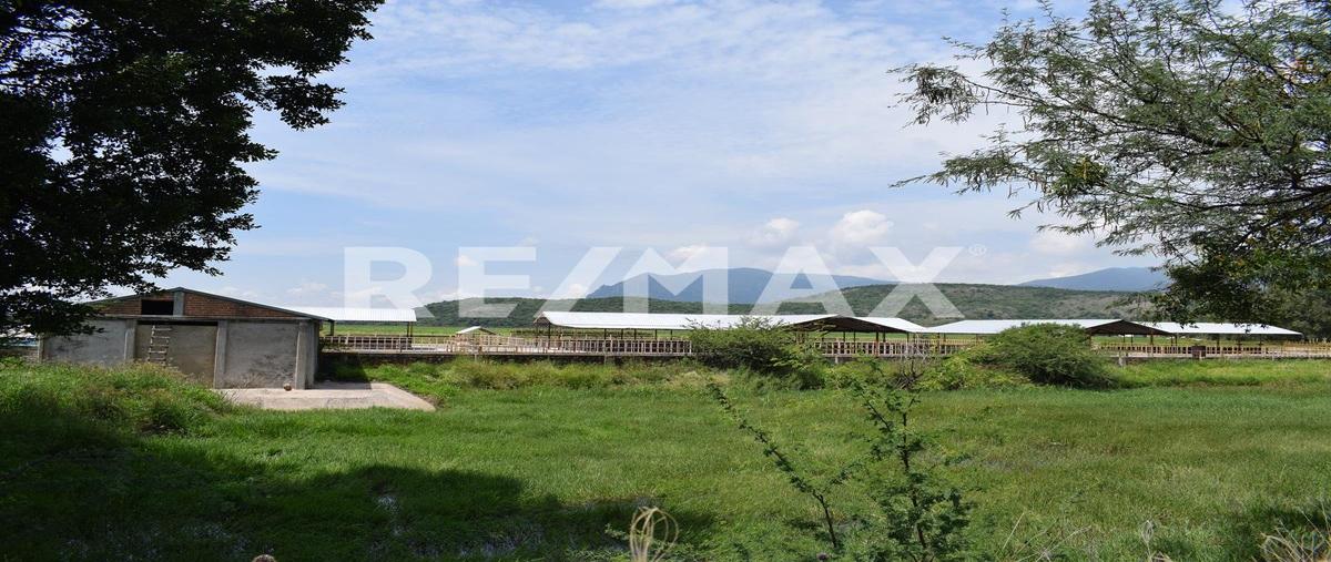 Foto de rancho en venta en carretera irapuato - cuerámaro , tupátaro, cuerámaro, guanajuato, 0 No. 04