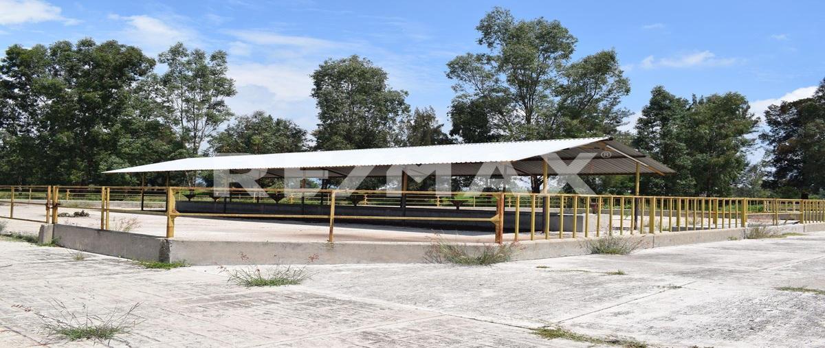 Foto de rancho en venta en carretera irapuato - cuerámaro , tupátaro, cuerámaro, guanajuato, 0 No. 05