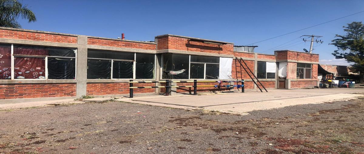 Foto de terreno comercial en venta en carretera irapuato-abasolo kilometro 8.5 , santa elena, irapuato, guanajuato, 25685681 No. 04