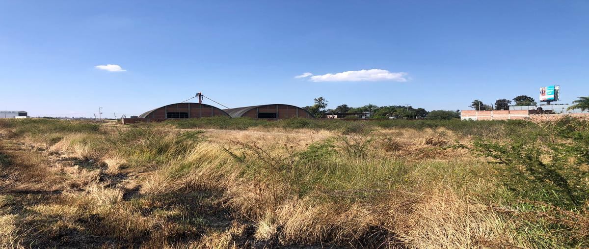 Foto de terreno comercial en venta en carretera irapuato-abasolo kilometro 8.5 , santa elena, irapuato, guanajuato, 25685681 No. 05