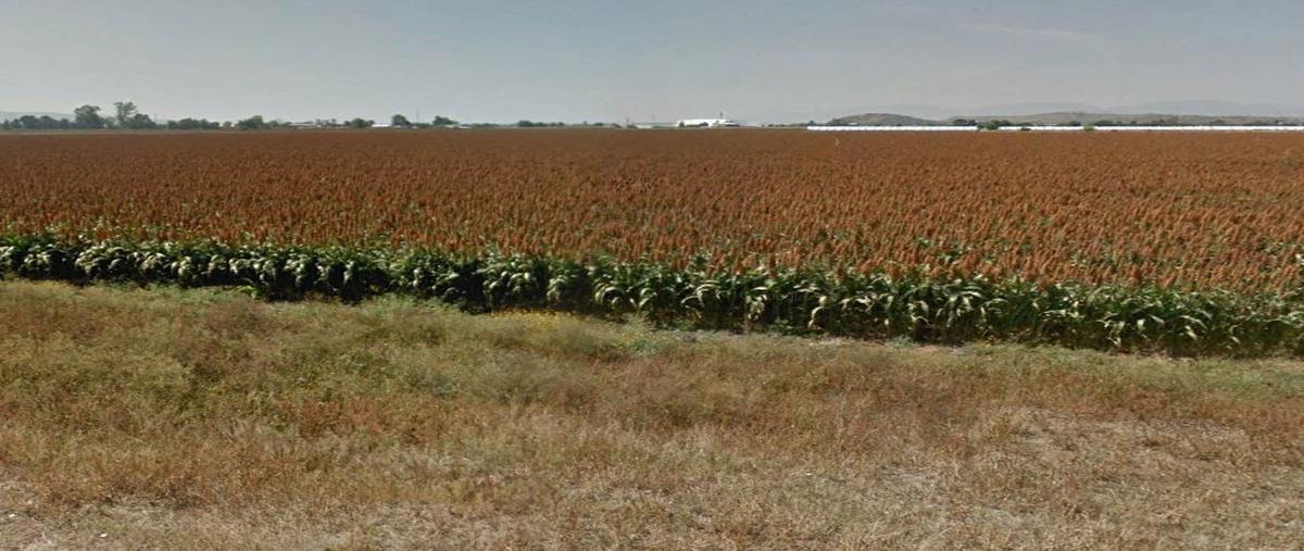 Foto de terreno comercial en venta en carretera irapuato-pueblo nuevo , tinaja de bernales, irapuato, guanajuato, 0 No. 04