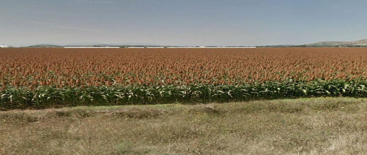 Foto de terreno comercial en venta en carretera irapuato-pueblo nuevo , tinaja de bernales, irapuato, guanajuato, 0 No. 05