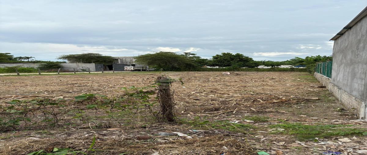 Foto de terreno habitacional en venta en carretera ixtacomitán 3era sección 1, ixtacomitan 3a sección, centro, tabasco, 30353124 No. 02