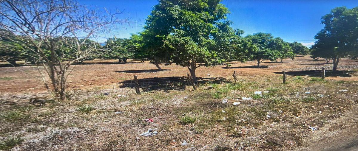 Foto de terreno comercial en carretera ixtapa , ixtapa de la concepción, compostela, nayarit, 23228409 foto 01 Foto de terreno comercial en venta en carretera ixtapa , ixtapa de la concepción, compostela, nayarit, 23228409 No. 01