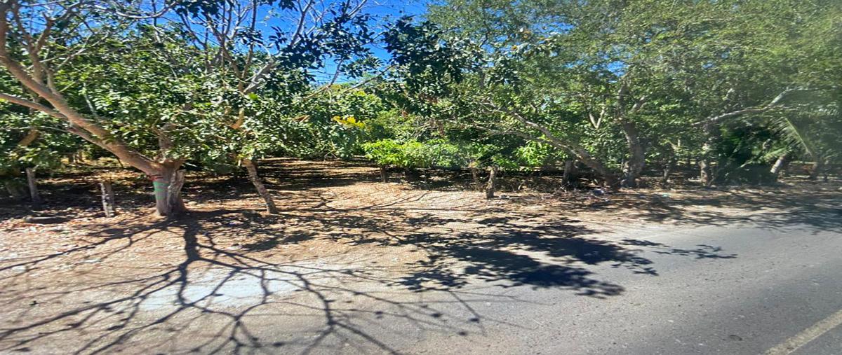 Foto de terreno comercial en carretera ixtapa , ixtapa de la concepción, compostela, nayarit, 23228409 foto 03 Foto de terreno comercial en venta en carretera ixtapa , ixtapa de la concepción, compostela, nayarit, 23228409 No. 03
