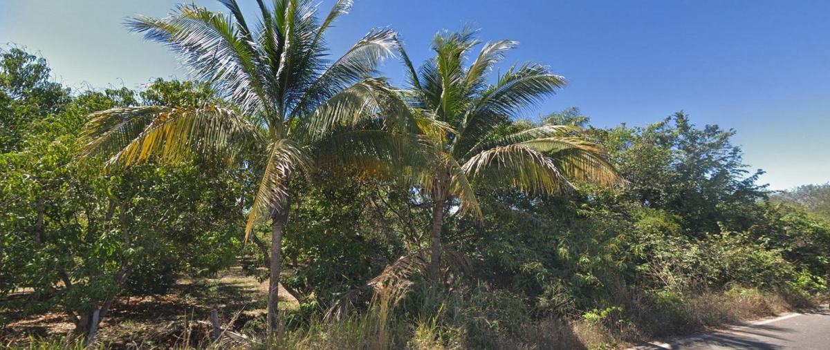 Foto de terreno comercial en carretera ixtapa , ixtapa de la concepción, compostela, nayarit, 23228409 foto 04 Foto de terreno comercial en venta en carretera ixtapa , ixtapa de la concepción, compostela, nayarit, 23228409 No. 04