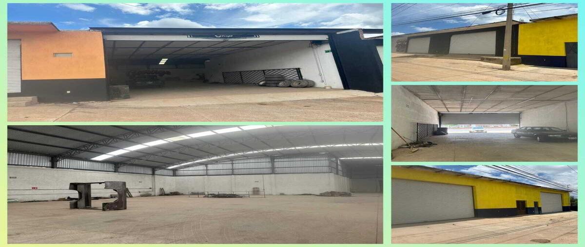 Foto de bodega en venta en carretera jal 314 , cerro gordo, san ignacio cerro gordo, jalisco, 28362202 No. 03