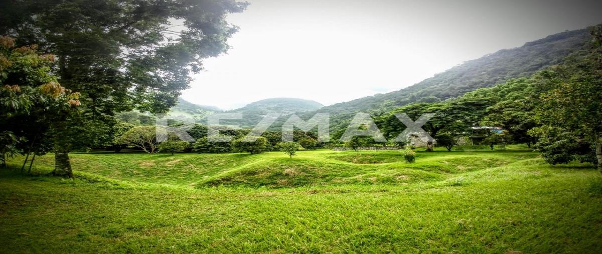 Foto de rancho en venta en carretera jalpan-xilitla kilometro 254 xilitilla, xilitla san luis potosí , xilitla, xilitla, san luis potosí, 30190145 No. 03