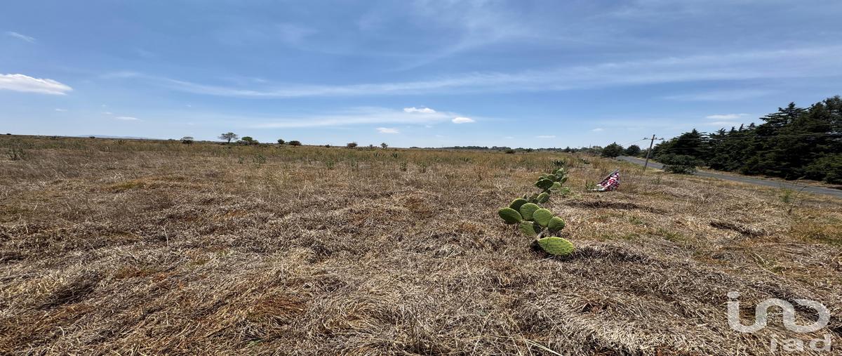 Foto de terreno habitacional en carretera jilotepec- ixtlahuaca, estado de méxico , bosque de canalejas (manzana sexta canalejas), jilotepec, méxico, 30555661 foto 03 Foto de terreno habitacional en venta en carretera jilotepec- ixtlahuaca, estado de méxico , bosque de canalejas (manzana sexta canalejas), jilotepec, méxico, 30555661 No. 03