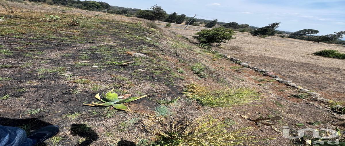 Foto de terreno habitacional en carretera jilotepec- ixtlahuaca, estado de méxico , bosque de canalejas (manzana sexta canalejas), jilotepec, méxico, 30555661 foto 05 Foto de terreno habitacional en venta en carretera jilotepec- ixtlahuaca, estado de méxico , bosque de canalejas (manzana sexta canalejas), jilotepec, méxico, 30555661 No. 05