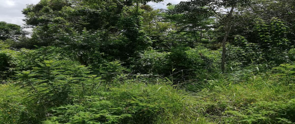 Foto de terreno comercial en carretera jobo suchiapa kilometro 8 , el jobo, tuxtla gutiérrez, chiapas, 0 foto 03 Foto de terreno comercial en venta en carretera jobo suchiapa kilometro 8 , el jobo, tuxtla gutiérrez, chiapas, 0 No. 03