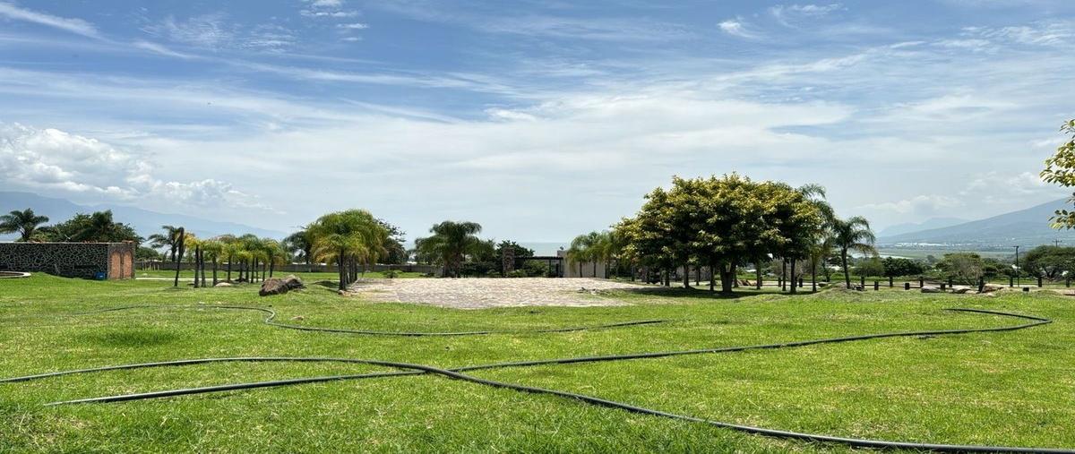 Foto de terreno habitacional en venta en carretera jocotepec mazamitla , jocotepec centro, jocotepec, jalisco, 0 No. 05
