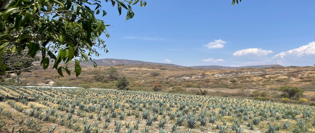 Foto de terreno habitacional en venta en carretera jocotepec-chapala, parcela , chapala centro, chapala, jalisco, 31012975 No. 03