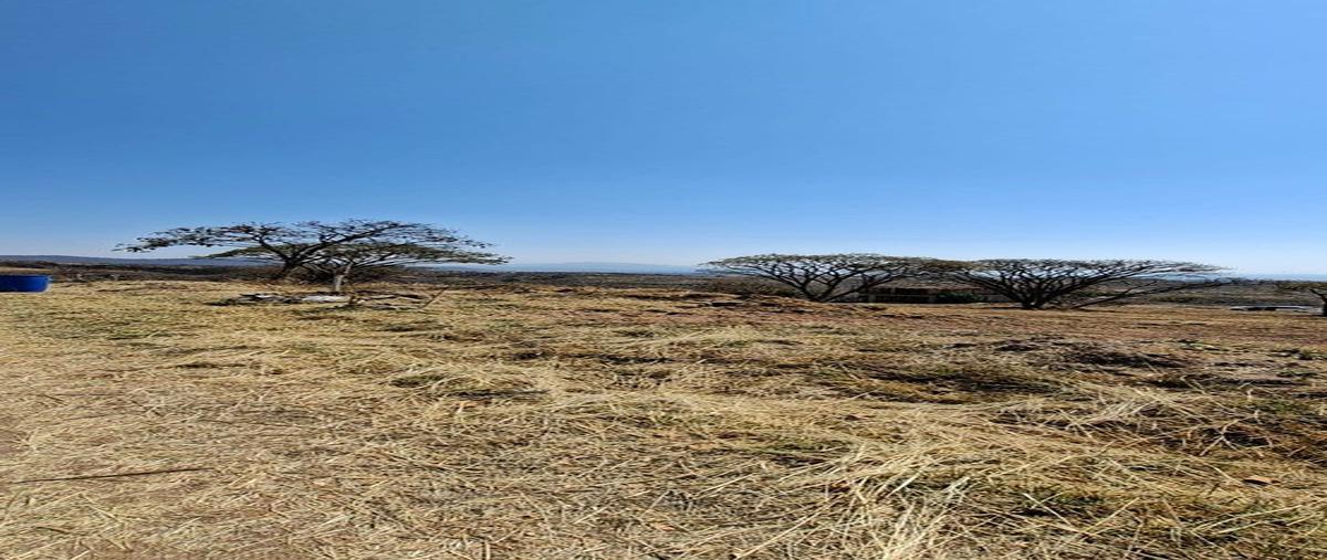 Foto de terreno habitacional en carretera jocotepec-chapala45904 jal. , san antonio tlayacapan, chapala, jalisco, 0 foto 05 Foto de terreno habitacional en venta en carretera jocotepec-chapala45904 jal. , san antonio tlayacapan, chapala, jalisco, 0 No. 05