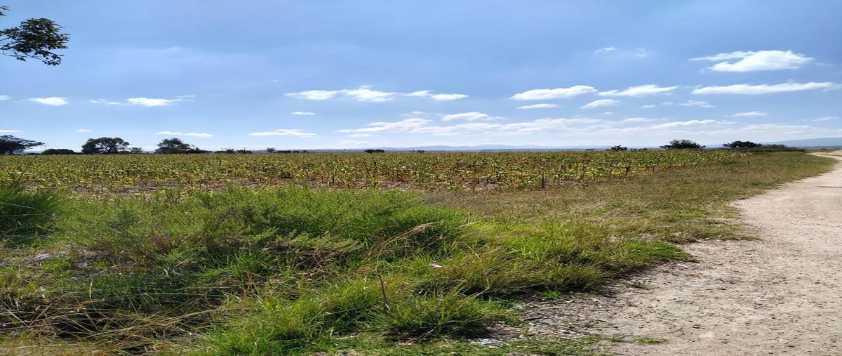 Foto de terreno industrial en venta en carretera jorge jimenez cantu mexico 623 , celayita (san josé celayita), polotitlán, méxico, 15355849 No. 04