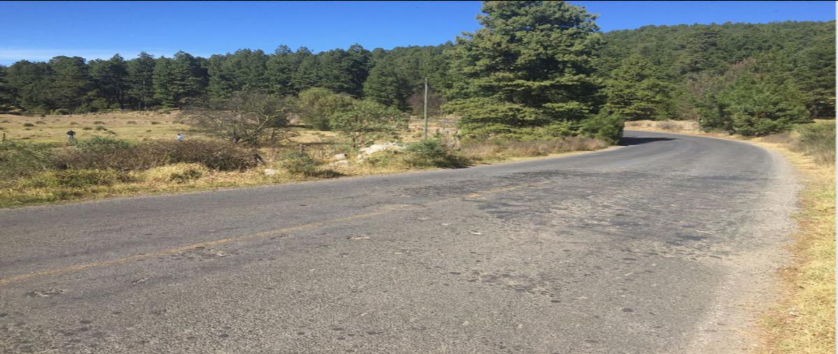 Foto de terreno habitacional en venta en carretera juanacatlan- tapalpa , juanacatlan, tapalpa, jalisco, 25368110 No. 03