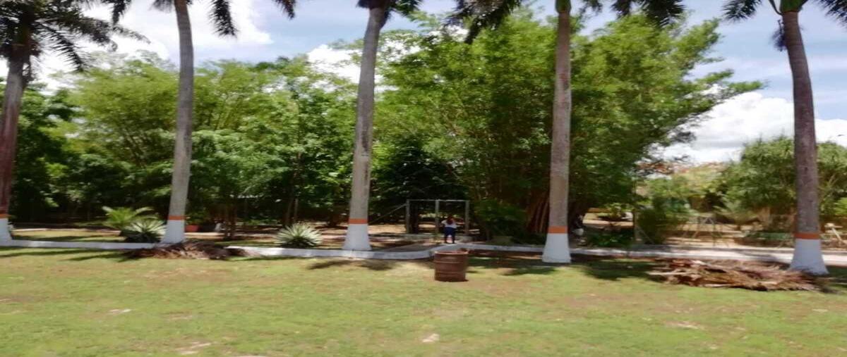 Foto de rancho en venta en carretera kantunil , kantunil, kantunil, yucatán, 0 No. 04