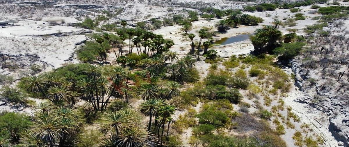 Foto de terreno habitacional en venta en carretera kilometro 97 a ciudad constitución , san hilario, la paz, baja california sur, 0 No. 03