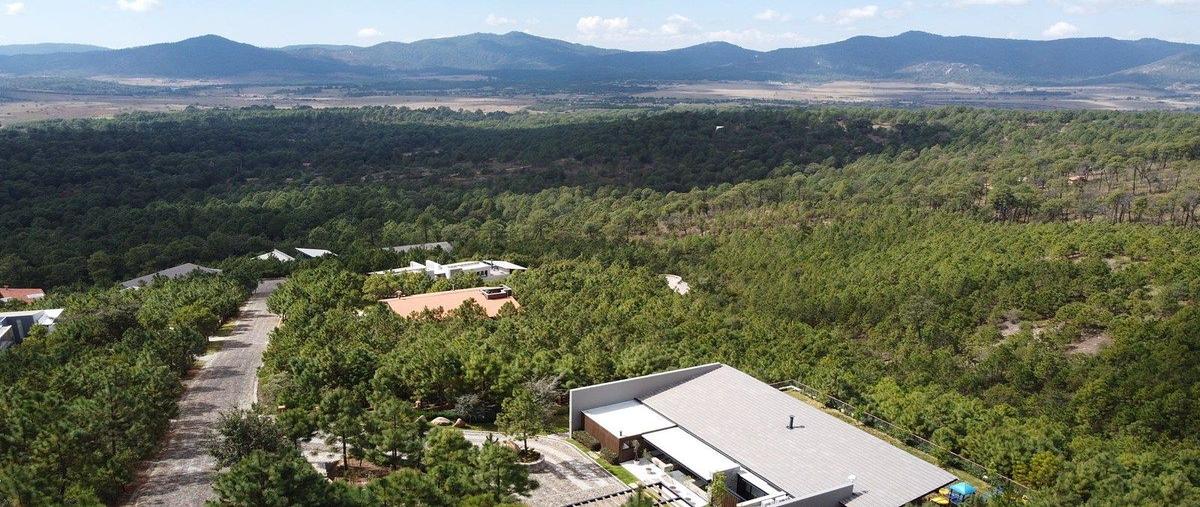 Foto de terreno habitacional en venta en carretera kilometro , tapalpa, tapalpa, jalisco, 0 No. 04