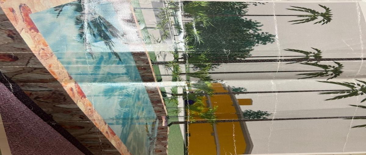 Foto de rancho en venta en carretera kinchil-celestun , kinchil, kinchil, yucatán, 0 No. 05