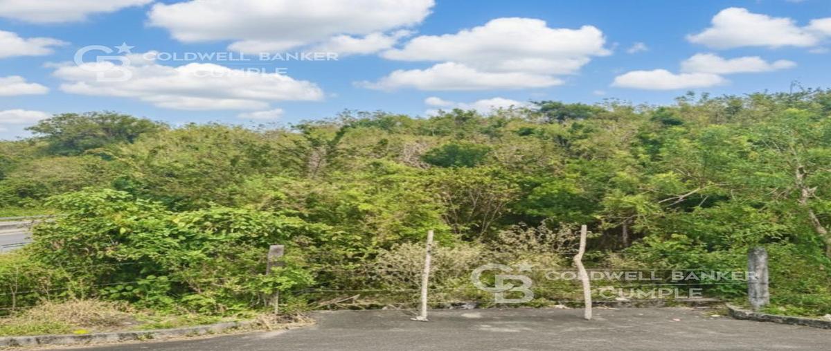 Foto de terreno industrial en carretera , la antigua veracruz, la antigua, veracruz de ignacio de la llave, 0 foto 04 Foto de terreno industrial en venta en carretera , la antigua veracruz, la antigua, veracruz de ignacio de la llave, 0 No. 04