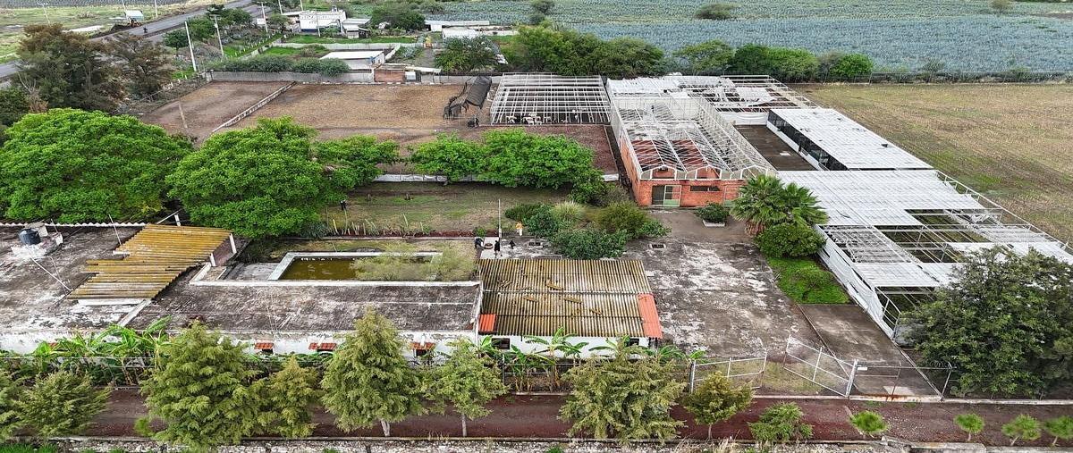 Foto de terreno habitacional en carretera la barca - santa rosa , atequiza estacion, ixtlahuacán de los membrillos, jalisco, 0 foto 01 Foto de terreno habitacional en venta en carretera la barca - santa rosa , atequiza estacion, ixtlahuacán de los membrillos, jalisco, 0 No. 01