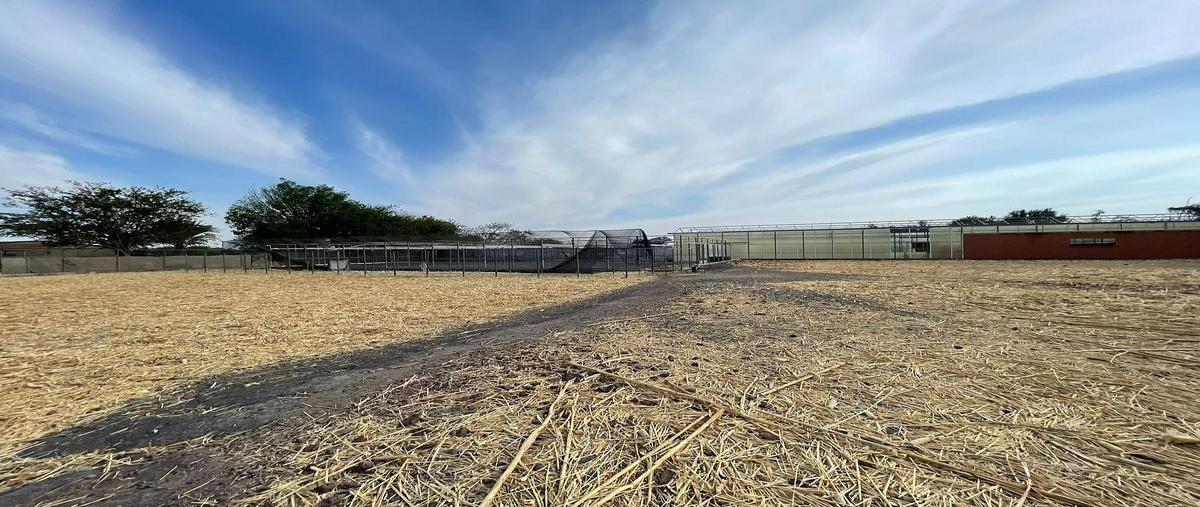 Foto de terreno habitacional en carretera la barca - santa rosa , atequiza estacion, ixtlahuacán de los membrillos, jalisco, 0 foto 02 Foto de terreno habitacional en venta en carretera la barca - santa rosa , atequiza estacion, ixtlahuacán de los membrillos, jalisco, 0 No. 02