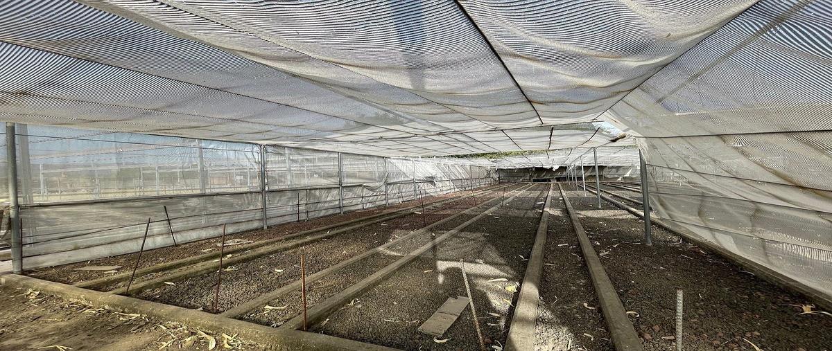 Foto de terreno habitacional en carretera la barca - santa rosa , atequiza estacion, ixtlahuacán de los membrillos, jalisco, 0 foto 04 Foto de terreno habitacional en venta en carretera la barca - santa rosa , atequiza estacion, ixtlahuacán de los membrillos, jalisco, 0 No. 04