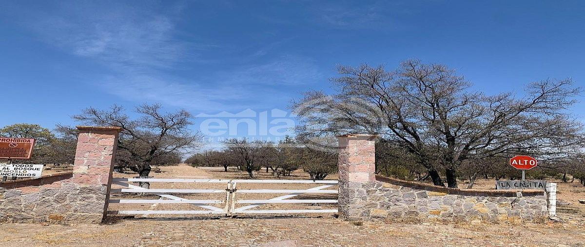 Foto de terreno habitacional en venta en carretera la flor , granja la casita, durango, durango, 0 No. 03