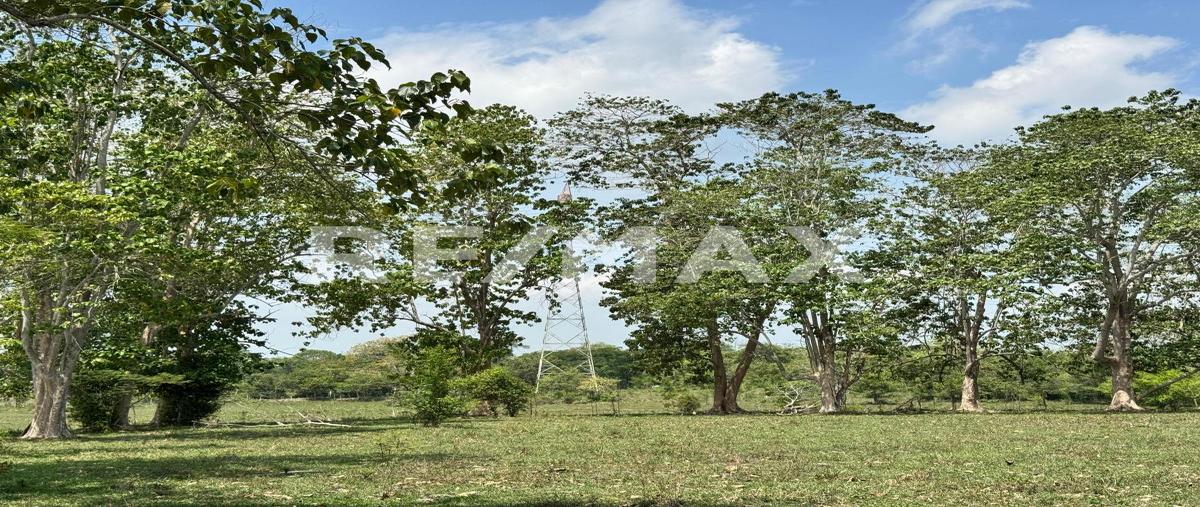 Foto de terreno comercial en renta en carretera la huasteca - alvarado , alvarado (colima), centro, tabasco, 0 No. 05
