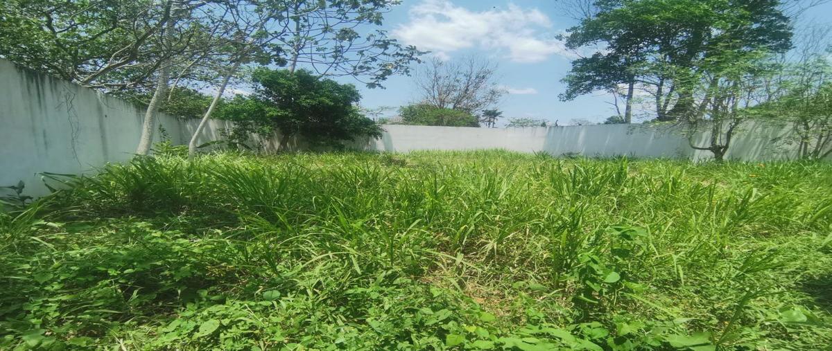 Foto de terreno habitacional en venta en carretera la isla km2 , centro delegacional 1, centro, tabasco, 28105646 No. 05