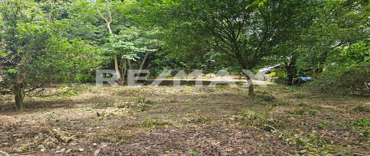 Foto de terreno comercial en venta en carretera la isla-villahermosa , buena vista río nuevo 1ra. sección, centro, tabasco, 0 No. 04