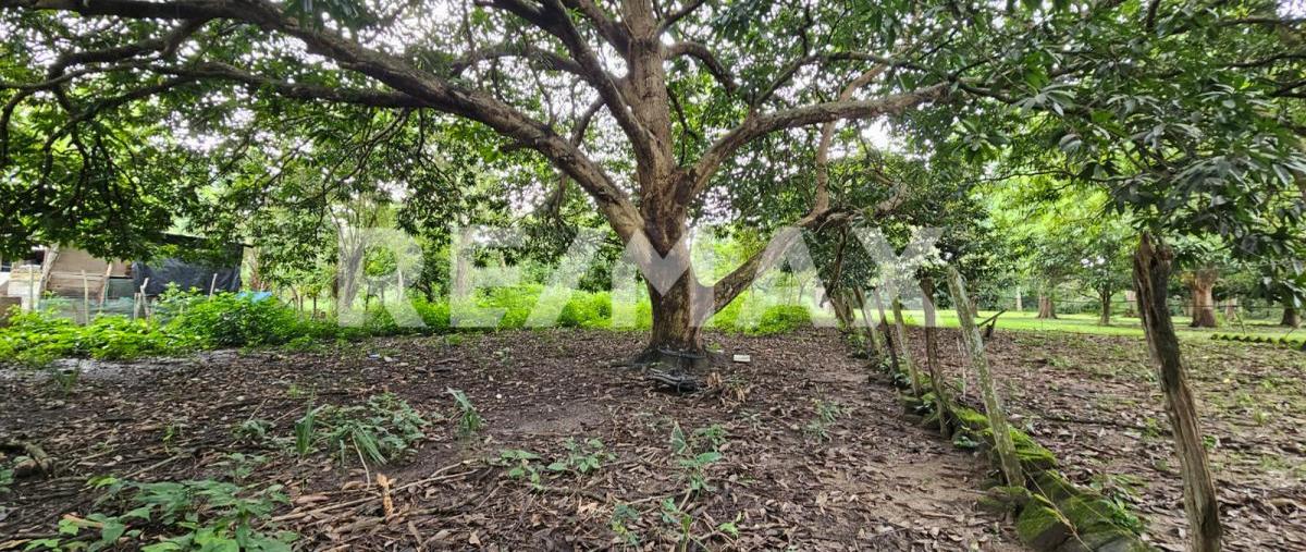 Foto de terreno comercial en venta en carretera la isla-villahermosa , buena vista río nuevo 1ra. sección, centro, tabasco, 29395290 No. 05