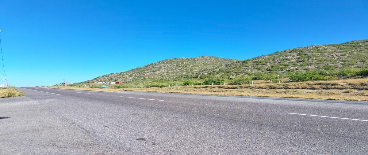Foto de terreno habitacional en venta en carretera la paz - los cabos , los cerritos, la paz, baja california sur, 27439843 No. 05