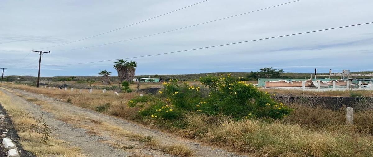 Foto de terreno habitacional en venta en carretera la paz- los cabos , pueblo nuevo, la paz, baja california sur, 26095792 No. 03