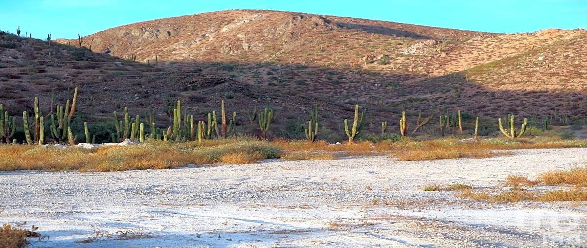 Foto de terreno habitacional en venta en carretera la paz - pichilingue , puerto de pichilingue, la paz, baja california sur, 0 No. 03