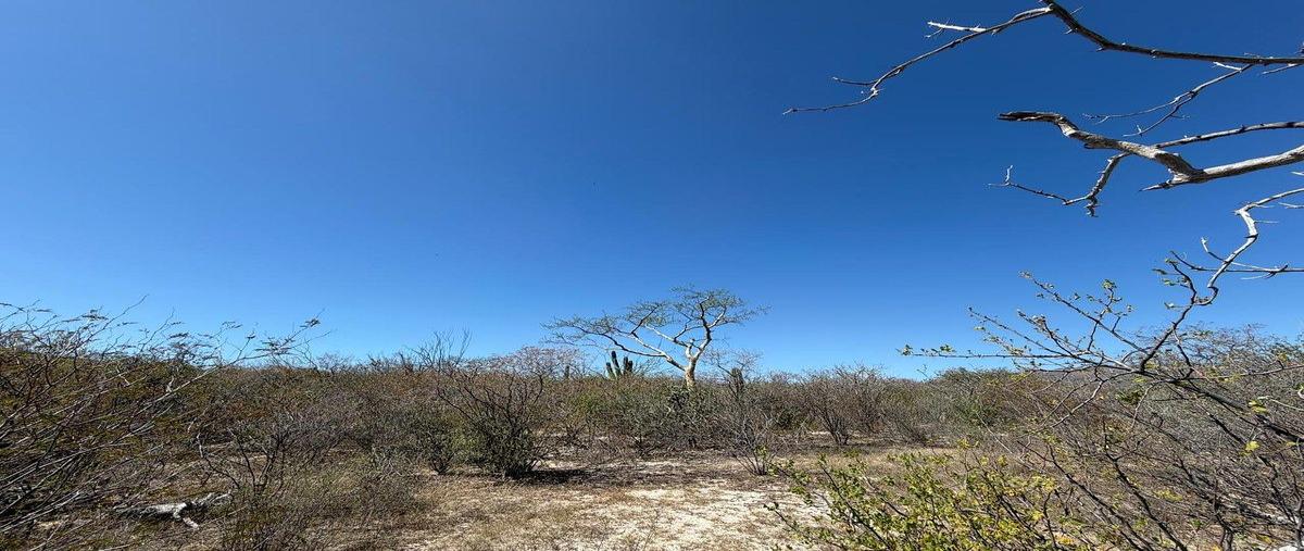 Foto de terreno habitacional en carretera la paz-los planes , los planes, la paz, baja california sur, 30876853 foto 02 Foto de terreno habitacional en venta en carretera la paz-los planes , los planes, la paz, baja california sur, 30876853 No. 02