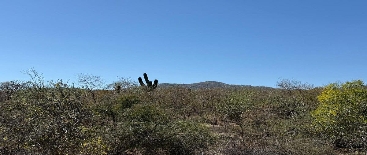 Foto de terreno habitacional en carretera la paz-los planes , los planes, la paz, baja california sur, 30876853 foto 04 Foto de terreno habitacional en venta en carretera la paz-los planes , los planes, la paz, baja california sur, 30876853 No. 04