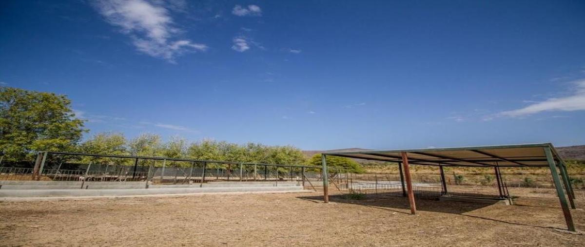 Foto de terreno habitacional en venta en carretera la ribera kilometro 8, la ribera, los cabos, baja california sur, 0 No. 05