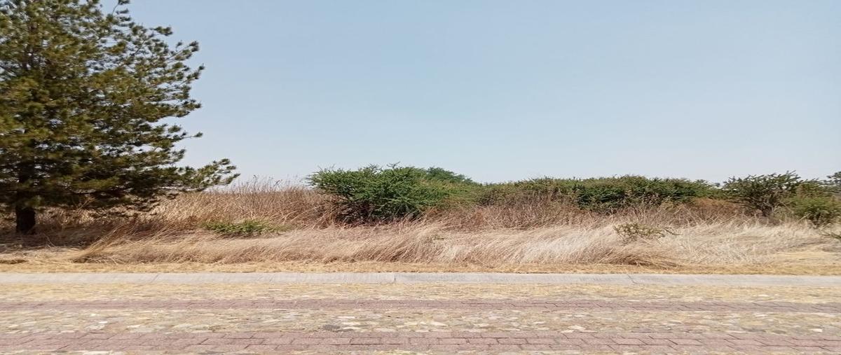 Foto de terreno habitacional en venta en carretera lagos de moreno – león , lagunillas, lagos de moreno, jalisco, 24877433 No. 03